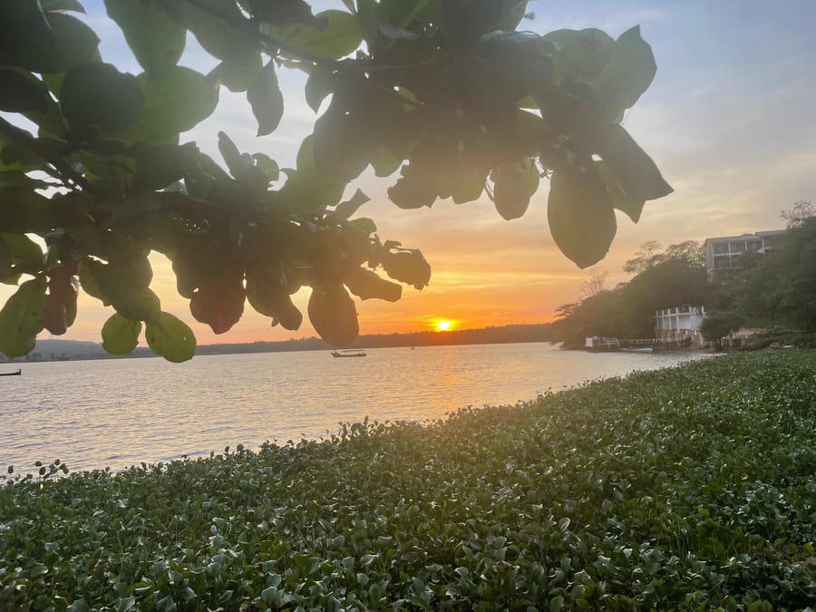 Sunset across the hyacinth bank, Lake Victoria