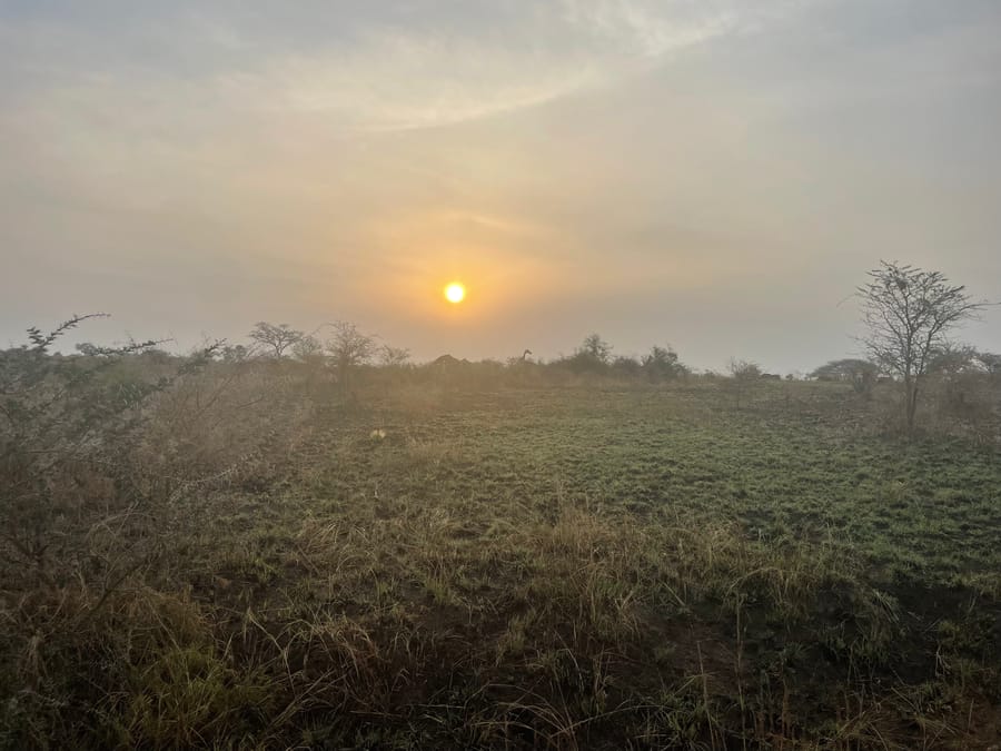 The sun coming up through smoke haze over the grazing flat