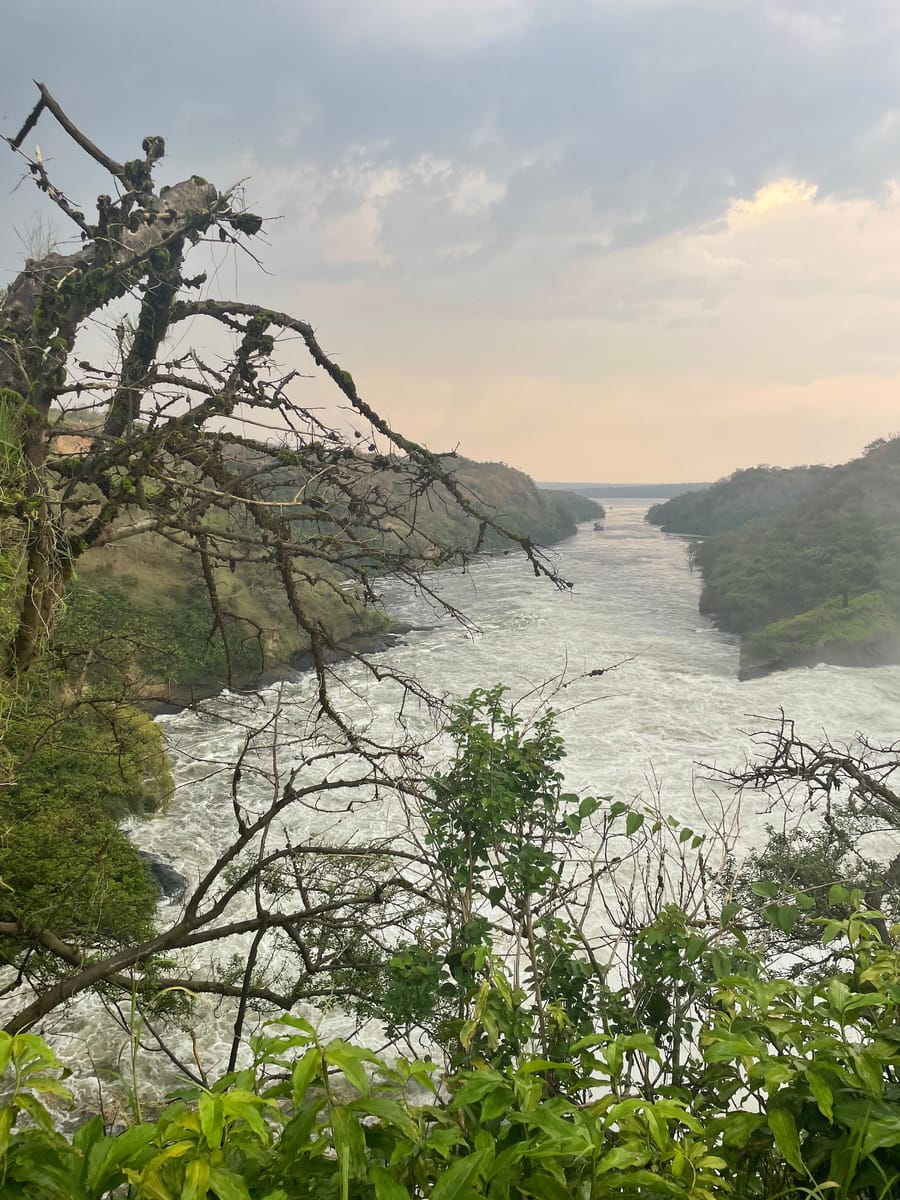 The river gorge running out to a hazy horizon