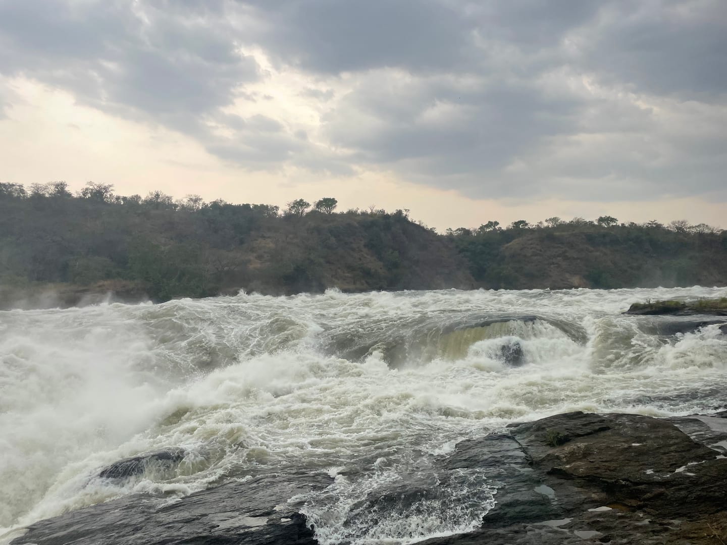 The Nile running white through a rock shelf below Murchison Falls, wooded hills on both banks.