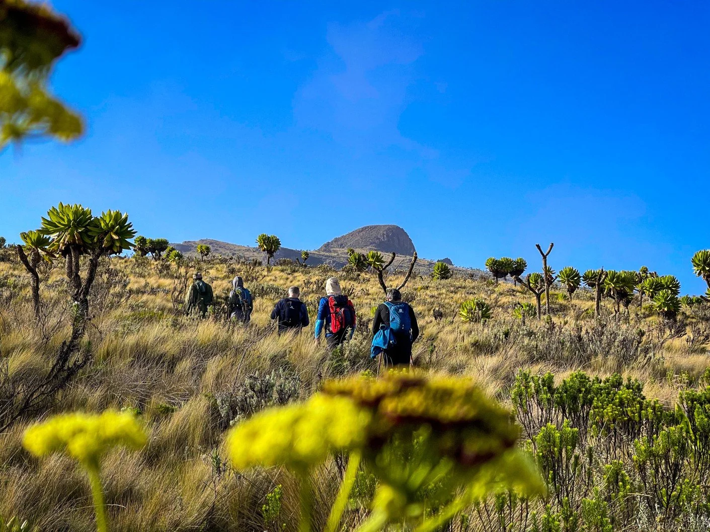 Wagagai, Mount Elgon
